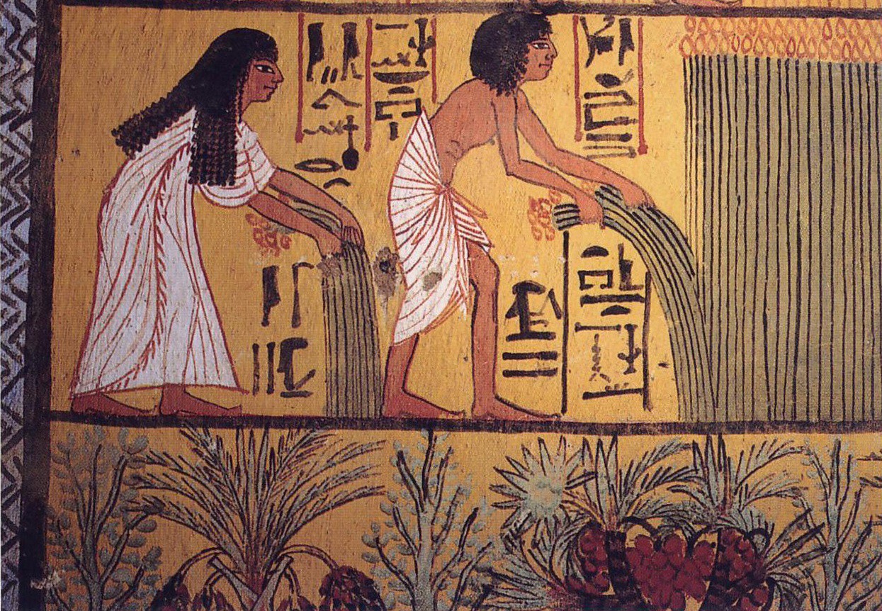 Есть предположение, что БАДы на основе нескольких компонентов открыли в Египте в V веке до нашей эры. 